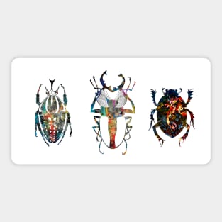 Three Beetles Sticker